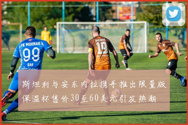 斯坦利与安东内拉携手推出限量版保温杯售价30至60美元引发热潮